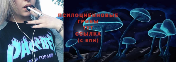 альфа пвп Новокубанск