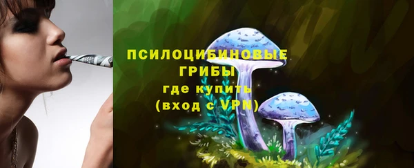 бутират Няндома