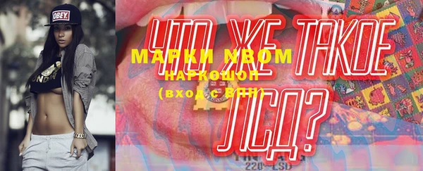 ГАЛЛЮЦИНОГЕННЫЕ ГРИБЫ Новозыбков