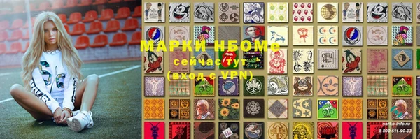 ГАЛЛЮЦИНОГЕННЫЕ ГРИБЫ Новозыбков