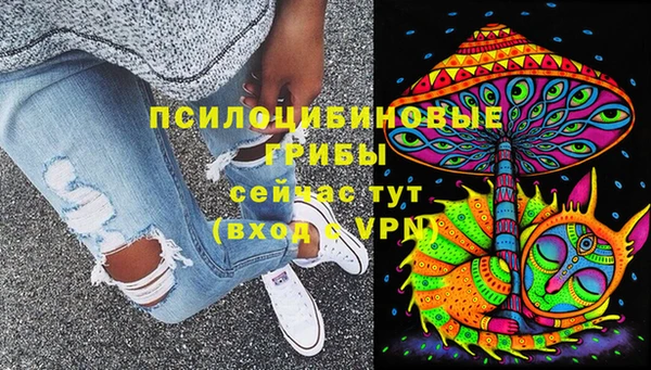 альфа пвп Новокубанск