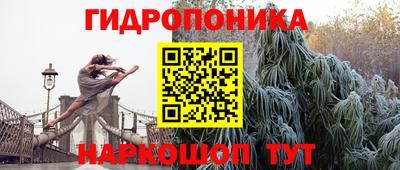 прущие грибы Гусь-Хрустальный
