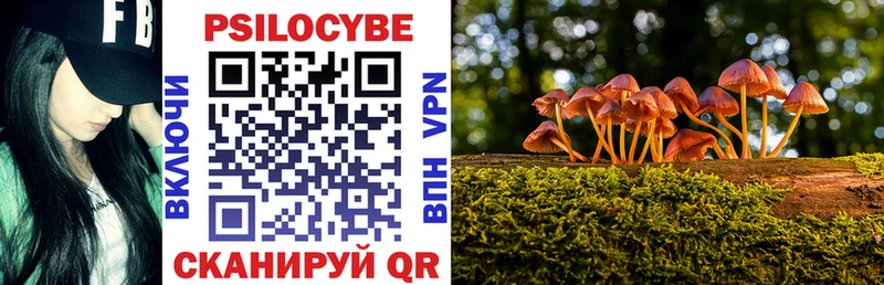 blacksprut как войти  Люберцы  Псилоцибиновые грибы мухоморы 