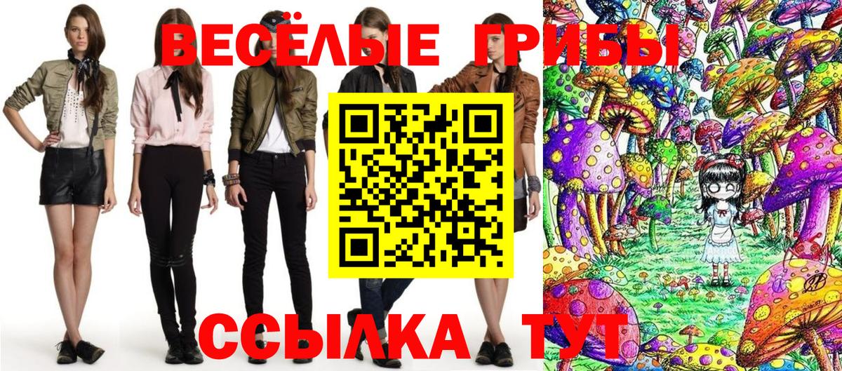 Люберцы  хочу наркоту  Вход с VPN  Псилоцибиновые грибы Psilocybine cubensis 