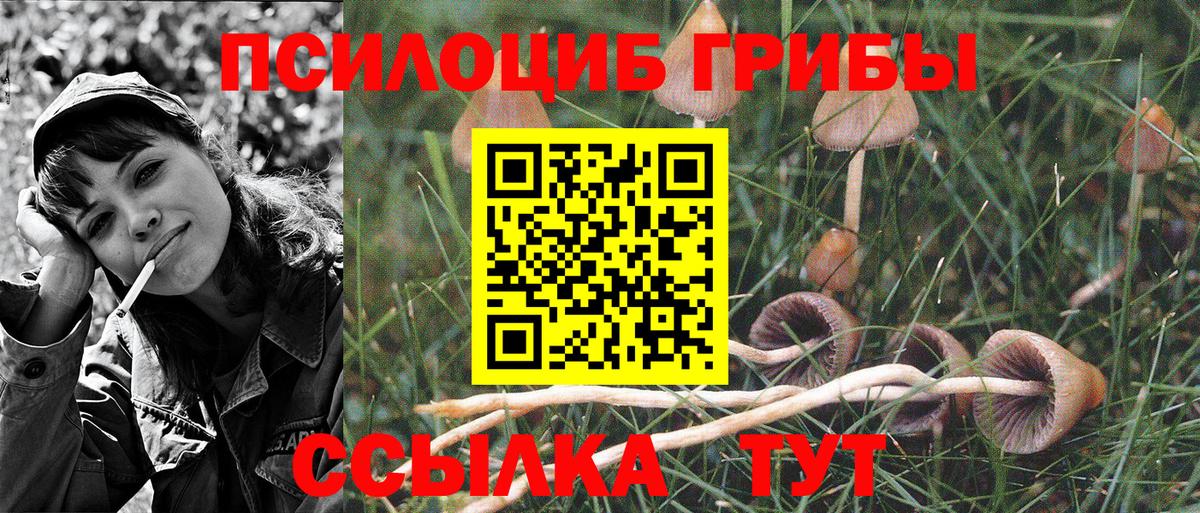 Псилоцибиновые грибы прущие грибы Люберцы